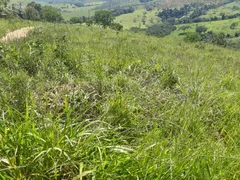 Fazenda / Sítio / Chácara à venda, 170000m² no Zona Rural, Passa Tempo - Foto 16