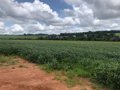 Fazenda / Sítio / Chácara à venda, 11m² no Zona Rural, Cristianópolis - Foto 8