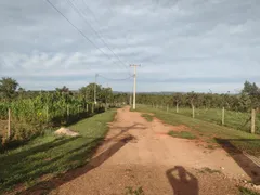 Fazenda / Sítio / Chácara com 3 Quartos à venda, 5000m² no Area Rural do Paranoa, Brasília - Foto 9