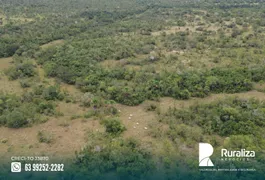 Fazenda / Sítio / Chácara à venda, 300m² no Zona Rural, Goianorte - Foto 6