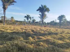 Fazenda / Sítio / Chácara com 3 Quartos à venda, 103m² no Zona Rural, Colinas do Sul - Foto 15