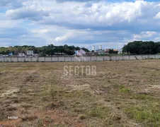 Terreno / Lote Comercial para alugar, 10000m² no Colônia Murici, São José dos Pinhais - Foto 8