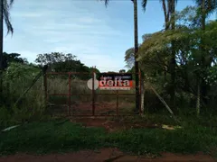 Fazenda / Sítio / Chácara com 1 Quarto à venda, 5000m² no Panorama, Uberlândia - Foto 1