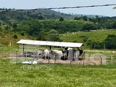 Fazenda / Sítio / Chácara com 3 Quartos à venda, 487000m² no Centro, Indiaroba - Foto 19