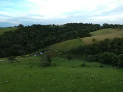 Fazenda / Sítio / Chácara com 3 Quartos à venda, 500m² no Zona Rural, Guareí - Foto 12