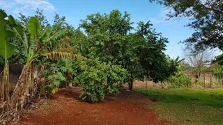 Terreno / Lote / Condomínio à venda, 5000m² no Conjunto Cafezal 1, Londrina - Foto 11