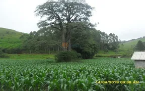 Fazenda / Sítio / Chácara com 6 Quartos à venda, 500m² no Centro, Antônio Carlos - Foto 3