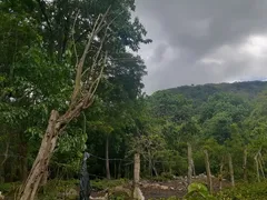 Fazenda / Sítio / Chácara à venda, 100000m² no Campo Grande, Rio de Janeiro - Foto 5