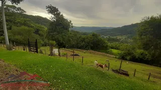 Fazenda / Sítio / Chácara com 2 Quartos à venda, 6000m² no Picada Holanda, Picada Café - Foto 4