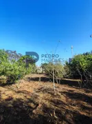 Fazenda / Sítio / Chácara com 3 Quartos à venda, 1500m² no Area Rural de Sete Lagoas, Sete Lagoas - Foto 19