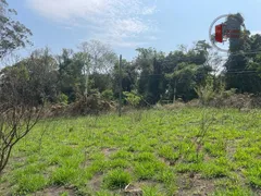 Terreno / Lote / Condomínio à venda, 15000m² no Taboão, São Roque - Foto 37