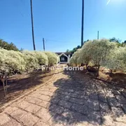 Fazenda / Sítio / Chácara com 4 Quartos à venda, 155m² no Parque da Grama, Indaiatuba - Foto 16