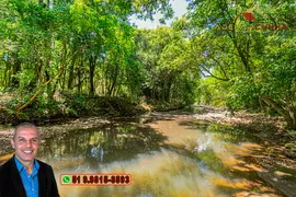 Fazenda / Sítio / Chácara à venda, 45000m² no Zona Rural, Três Coroas - Foto 5