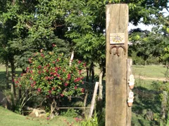 Fazenda / Sítio / Chácara com 3 Quartos à venda, 1974m² no Pinheiro, Valinhos - Foto 31