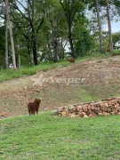 Terreno / Lote / Condomínio à venda, 2172m² no Sitio de Recreio Mansoes Bernardo Sayao, Goiânia - Foto 6