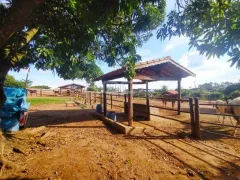 Fazenda / Sítio / Chácara à venda, 5601m² no Parque Itaipu, São Carlos - Foto 8