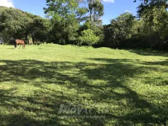 Terreno / Lote Comercial à venda no Desvio Rizzo, Caxias do Sul - Foto 3