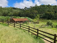 Fazenda / Sítio / Chácara com 3 Quartos à venda, 508200m² no Centro, Piracaia - Foto 10
