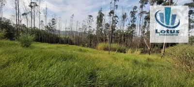 Fazenda / Sítio / Chácara à venda, 32600m² no Centro Tres Pontes, Amparo - Foto 7