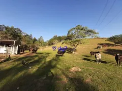 Fazenda / Sítio / Chácara com 4 Quartos à venda, 2000m² no São Roque, São Roque - Foto 16