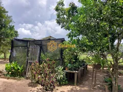 Fazenda / Sítio / Chácara com 4 Quartos à venda, 120m² no Area Rural de Capao Bonito, Capão Bonito - Foto 27