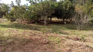 Fazenda / Sítio / Chácara com 3 Quartos à venda, 20000m² no Parque Residencial Itapeti, Mogi das Cruzes - Foto 8