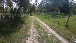 Fazenda / Sítio / Chácara à venda, 50000m² no Zona Rural, Conde - Foto 23