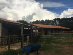 Fazenda / Sítio / Chácara com 3 Quartos à venda, 24200m² no Parque Itaipu, São Carlos - Foto 30