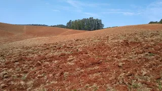 Fazenda / Sítio / Chácara com 3 Quartos à venda, 70m² no Zona Rural, Ribeirão Branco - Foto 1