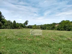 Fazenda / Sítio / Chácara com 4 Quartos à venda, 75000m² no Zona Rural, Bonfinópolis - Foto 58