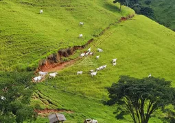 Fazenda / Sítio / Chácara à venda, 242000m² no Zona Rural, Piranguçu - Foto 18