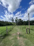 Fazenda / Sítio / Chácara com 2 Quartos à venda, 50m² no Zona Rural, Pelotas - Foto 2
