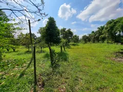 Fazenda / Sítio / Chácara com 2 Quartos à venda, 7000m² no Santa Cruz da Serra, Duque de Caxias - Foto 24