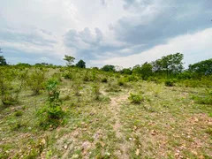 Fazenda / Sítio / Chácara com 4 Quartos à venda, 144000m² no Zona Rural, Faina - Foto 32