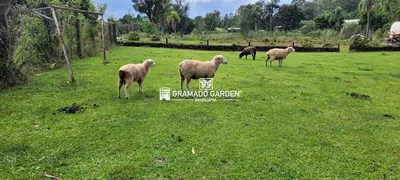 Fazenda / Sítio / Chácara à venda, 60260m² no Vila Jardim, Gramado - Foto 35