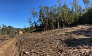 Terreno / Lote / Condomínio à venda, 70000m² no Varzea Grande, Gramado - Foto 8