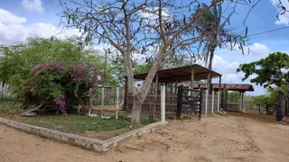 Fazenda / Sítio / Chácara com 4 Quartos à venda, 250m² no , Glória do Goitá - Foto 9
