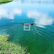 Terreno / Lote / Condomínio à venda, 1045m² no Santinho, Florianópolis - Foto 7