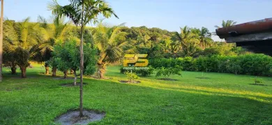 Fazenda / Sítio / Chácara com 2 Quartos à venda, 14200m² no , Pedras de Fogo - Foto 29