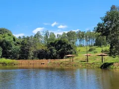 Fazenda / Sítio / Chácara à venda, 1875m² no Centro, Aragoiânia - Foto 5