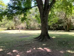 Fazenda / Sítio / Chácara com 3 Quartos à venda, 4000m² no Branquinha, Viamão - Foto 36