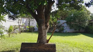 Fazenda / Sítio / Chácara com 12 Quartos à venda, 576m² no Jardim das Palmeiras, Ribeirão Preto - Foto 17