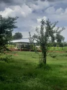 Fazenda / Sítio / Chácara com 2 Quartos à venda, 1340000m² no Zona Rural, Poconé - Foto 8