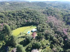 Fazenda / Sítio / Chácara com 3 Quartos à venda, 49000m² no Biritiba Ussu, Mogi das Cruzes - Foto 23
