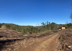 Terreno / Lote / Condomínio à venda, 70000m² no Varzea Grande, Gramado - Foto 6