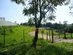 Terreno / Lote Comercial à venda, 20000m² no Rio Abaixo, Itaquaquecetuba - Foto 30