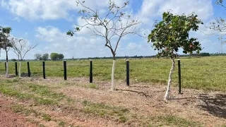 Fazenda / Sítio / Chácara com 3 Quartos à venda, 71150000m² no Celio Miranda, Paragominas - Foto 7