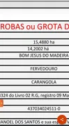 Terreno / Lote / Condomínio à venda, 154880m² no Bom Jesus do Madeira, Fervedouro - Foto 9