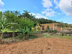 Fazenda / Sítio / Chácara com 3 Quartos à venda, 170m² no Zona Rural, Turvolândia - Foto 2