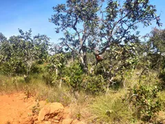 Terreno / Lote / Condomínio à venda, 2000m² no Planaltina, Brasília - Foto 14